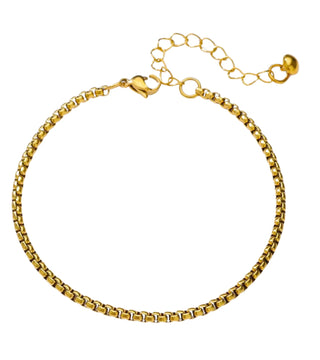 Luxe Link Anklet